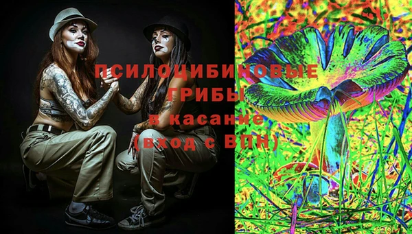 прущие крисы Вязьма