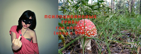 ешки Волоколамск