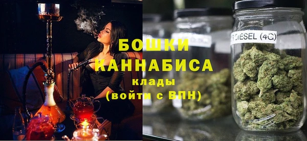 МДПВ Снежногорск